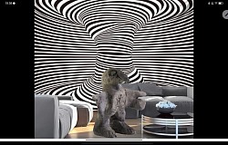 ...der hat sich schon wieder verlaufen+